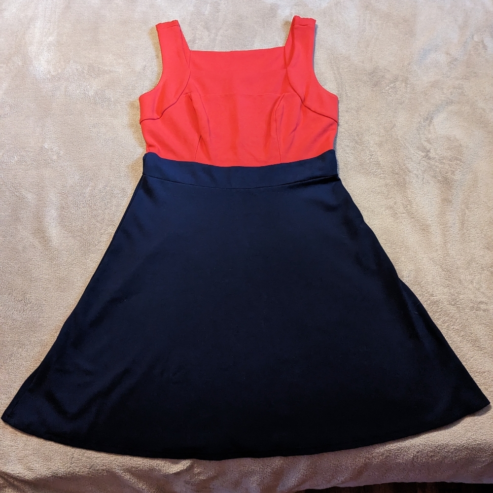 Pepperberry Colorblock Dress
